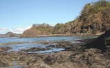 Playa Hermosa Guanacaste Beachcomber Pete