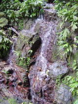 Waterfalls Ojochal Costa Rica Beachcomber Pete