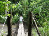 Eco trail to Playa Ojochal Costa Rica Beachcomber Pete