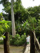 Eco trail to Playa Ojochal Costa Rica Beachcomber Pete