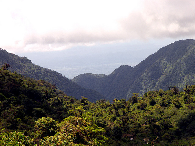 Juan Castro Blanco National Park, Costa Rica