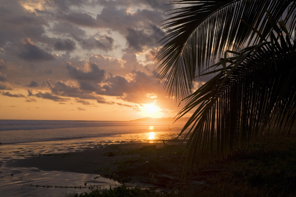 Playa Estrillos, Central Pacific, Costa Rica