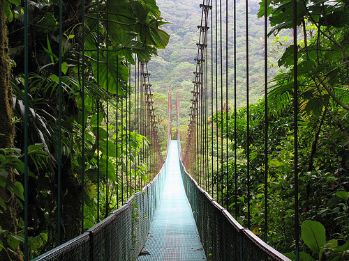 Suspension Bridge, Moteverde Cloud Forest Reserve, Costa Rica