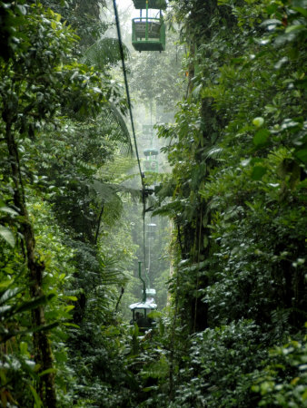 Trams through the Rain Forest, Braulio Carillo National Park, Costa Rica