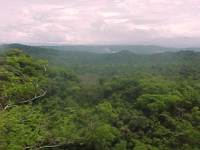 Palo Verde National Park, Costa Rica