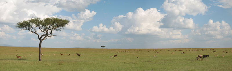 Mara-skyline, Kenya