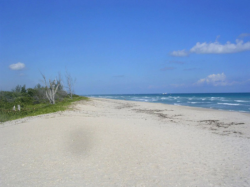 Beach, Port St. Lucie, Florida