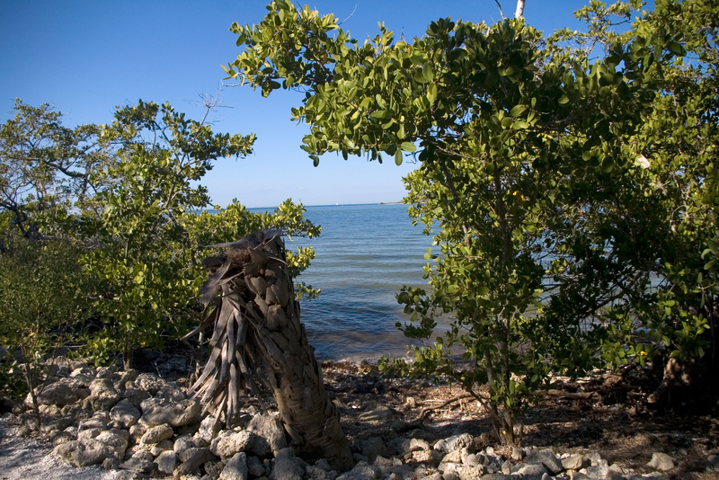 A view of the Manatee River, Bradenton, Florida