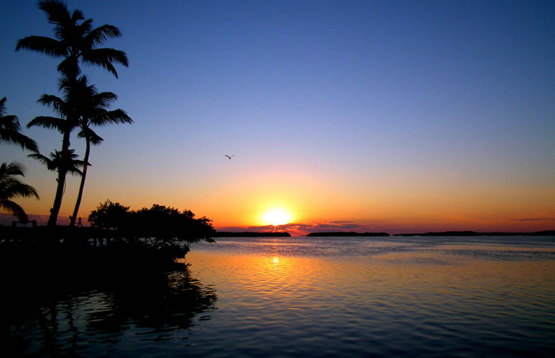 Sunset Islamorada, Florida Keys